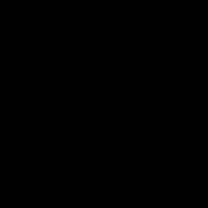 Meet your Posher, Latisha